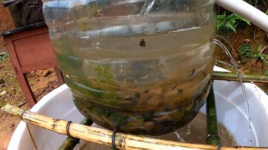过滤水的简陋方法,水很脏过滤器怎么做
