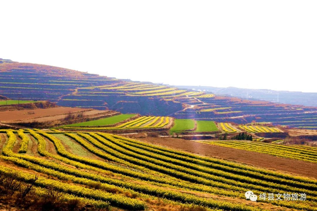 美丽乡村百花节,美丽乡村山花节