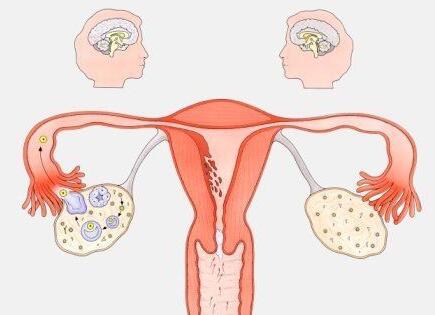 妇科保卫战,秋冬季应注意哪些妇科炎症