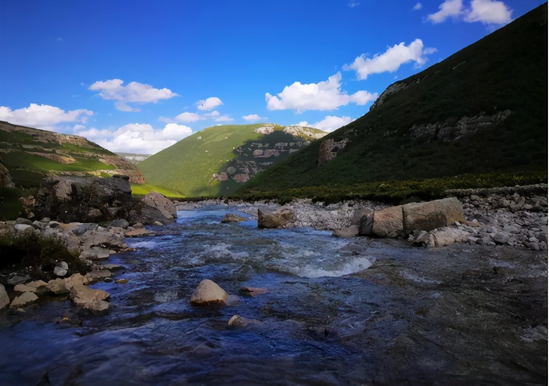 净土天峻,净土天峻高原牧场图片