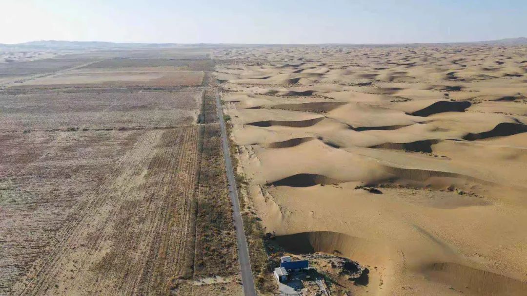 中国大沙漠的淘金客：*子骗**、教授与巨头