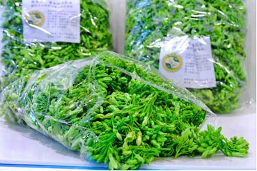 广东有机农业协会,广东省有机农业协会