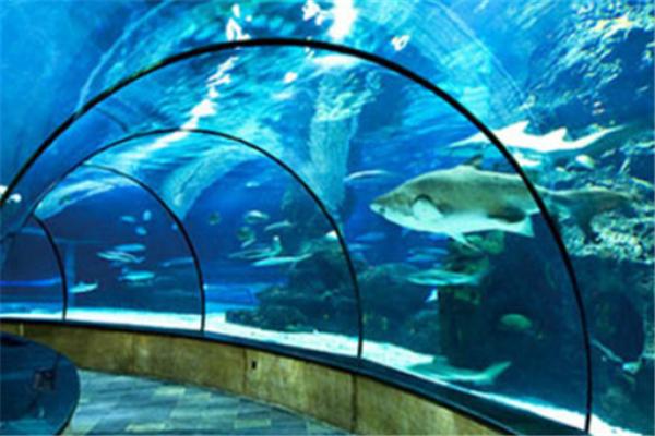 上海值得带孩子去玩的地方,上海适合8个月宝宝玩的地方