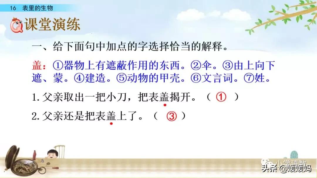 六年级下册语文表里的生物朗诵,六年级下册表里的生物小练笔400字