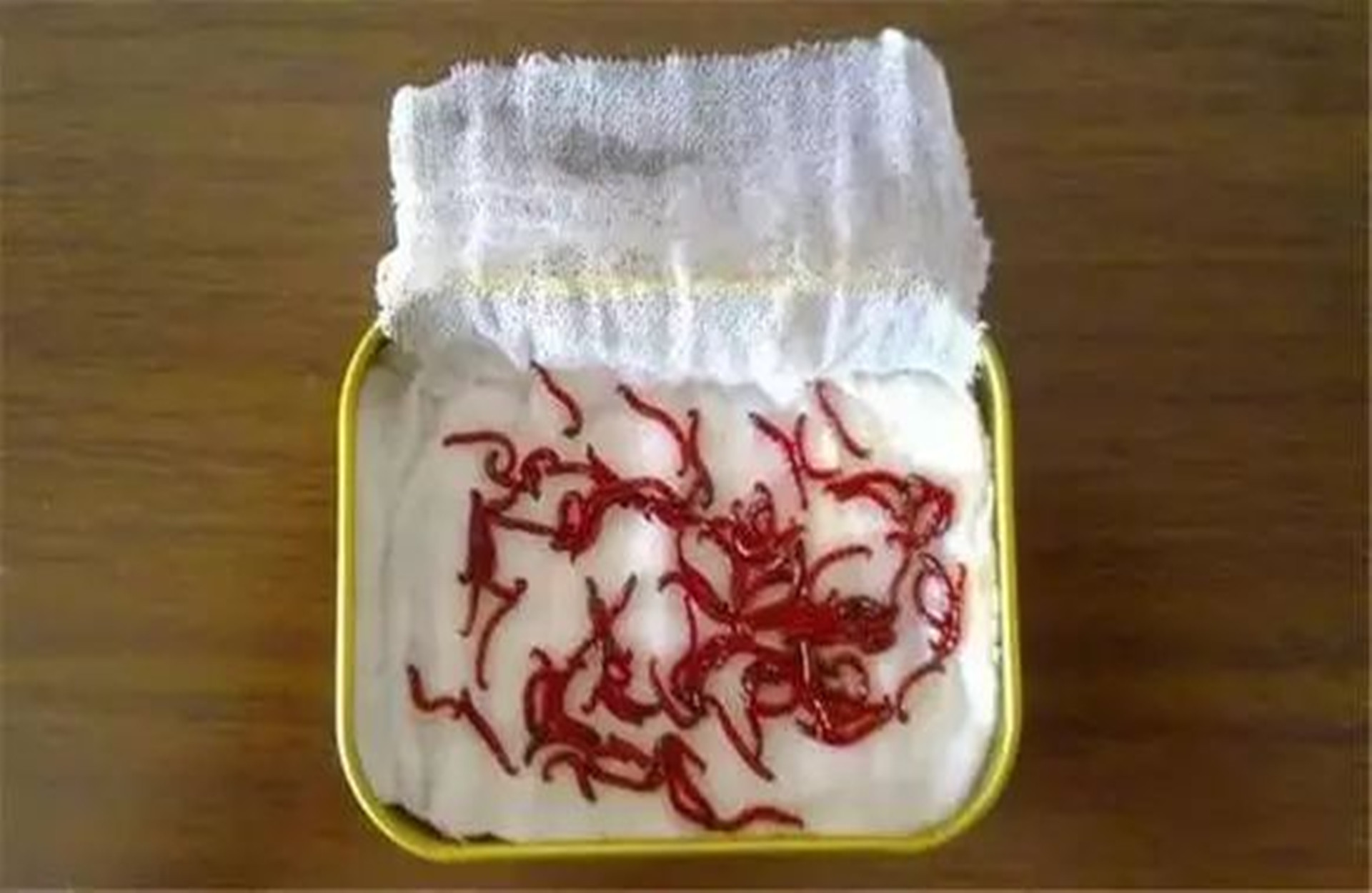 用不完的饵料如何长期保存,用不完的饵料如何保存下次继续用