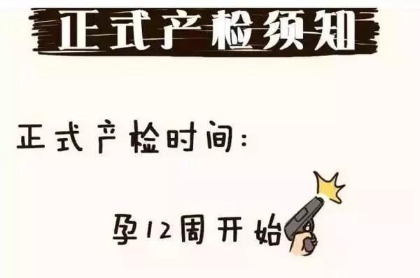 孕妇产检全流程手绘图,产科医生画图