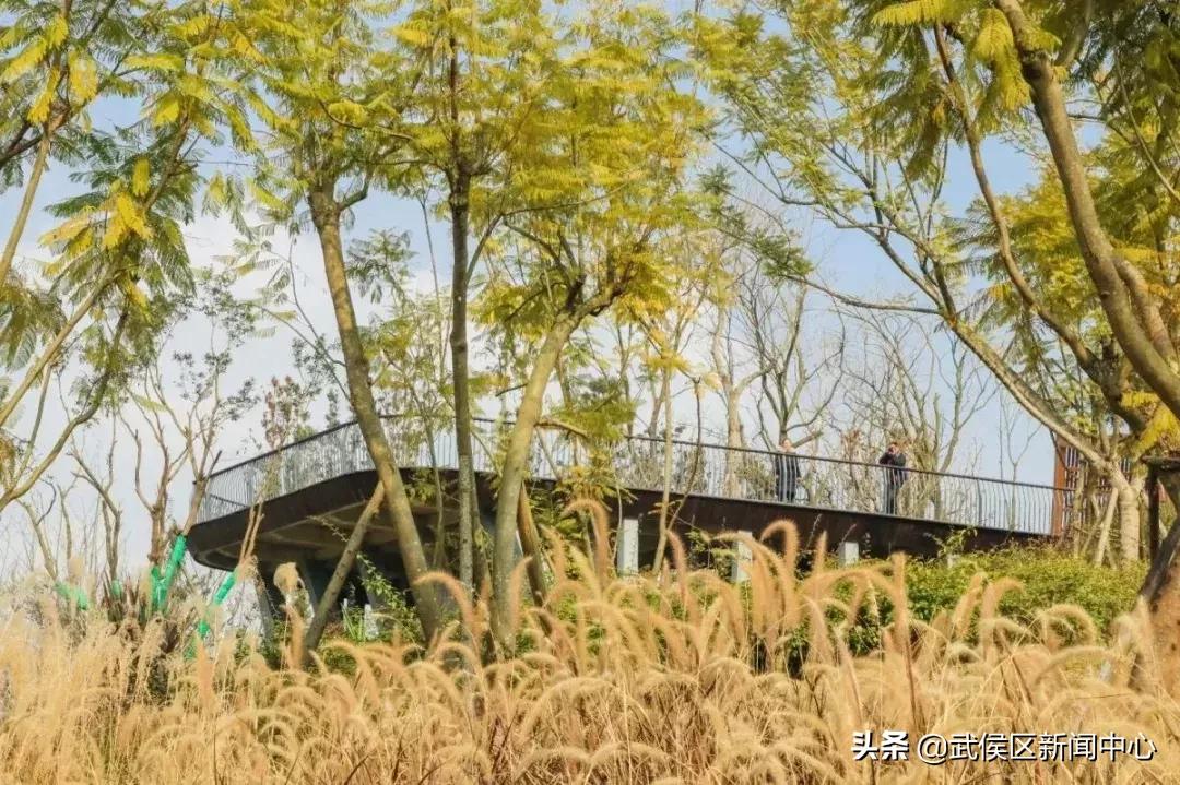 成都旅游景点免费门票,成都周边好玩的地方景点免费