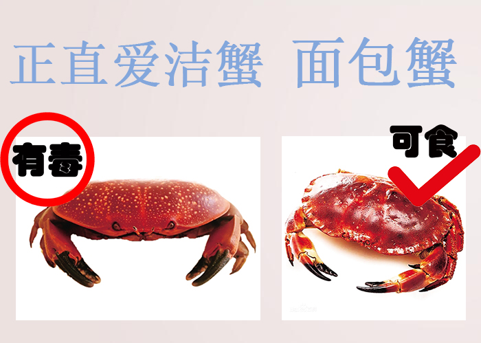 海南食物中毒,三亚吃东西食物中毒媒体曝光
