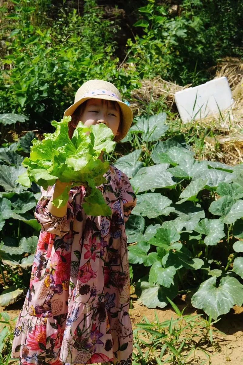 深山隐蔽的世外桃源,隐藏在乡间的世外桃源