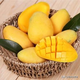 端午节有没有最便宜的水果了,端午期间热卖水果
