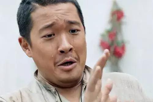 认贼作父被嘲讽,讽刺有些人认贼作父