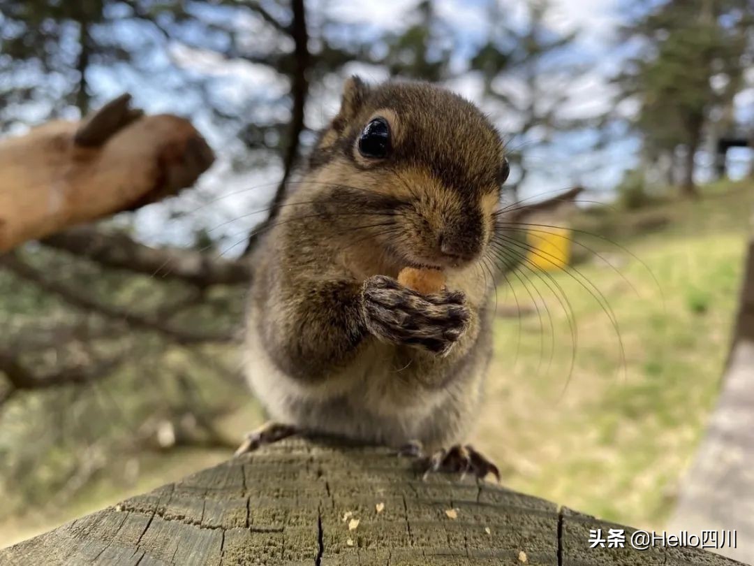 520鎴戠殑鑺卞紡琛ㄧ櫧,520鐖辩殑鑺卞紡琛ㄧ櫧