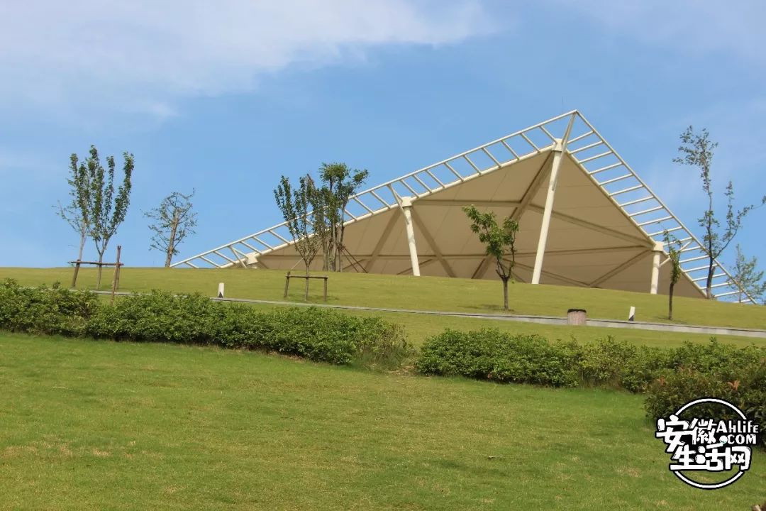 庐阳老城内藏着一处最大的综合性森林公园，人少景美，关键还免费