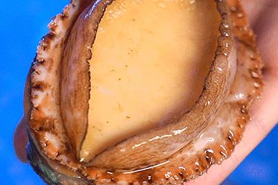 厦门沙茶海鲜面 (海鲜沙茶面厦门特产)