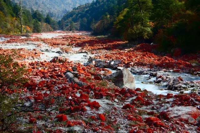成都出发四川10日自驾游最佳路线,成都到四川自驾游最佳攻略