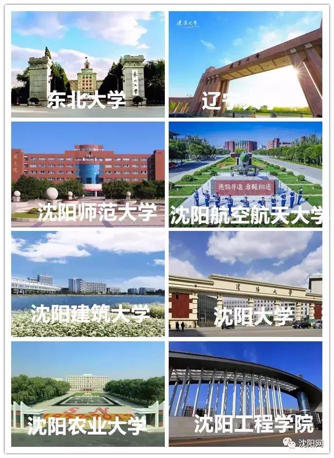 我叫沈阳,我叫沈阳话