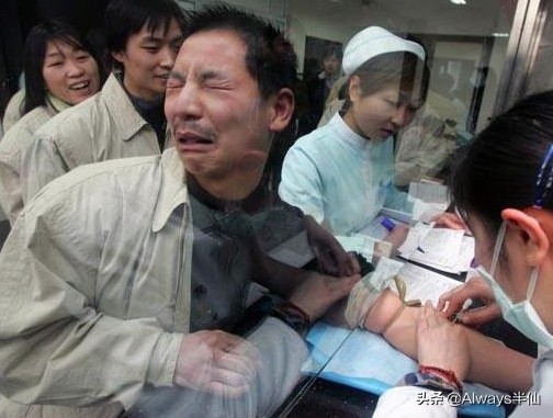 最稀有的血型熊猫,全世界最稀有的三种血型图片