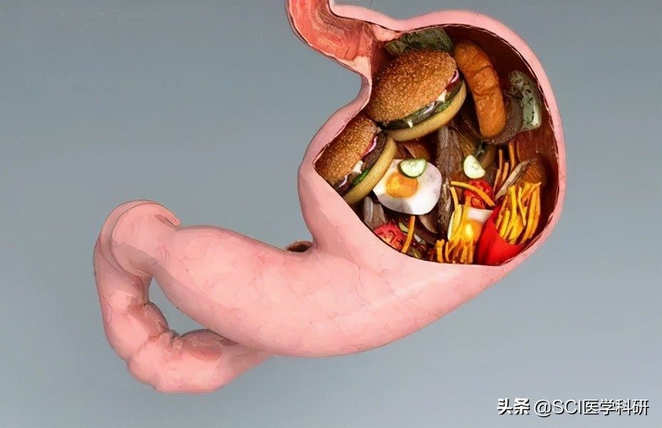 小孩胃动力不足肠胃蠕动慢怎么办,跑步能改善胃动力不足吗