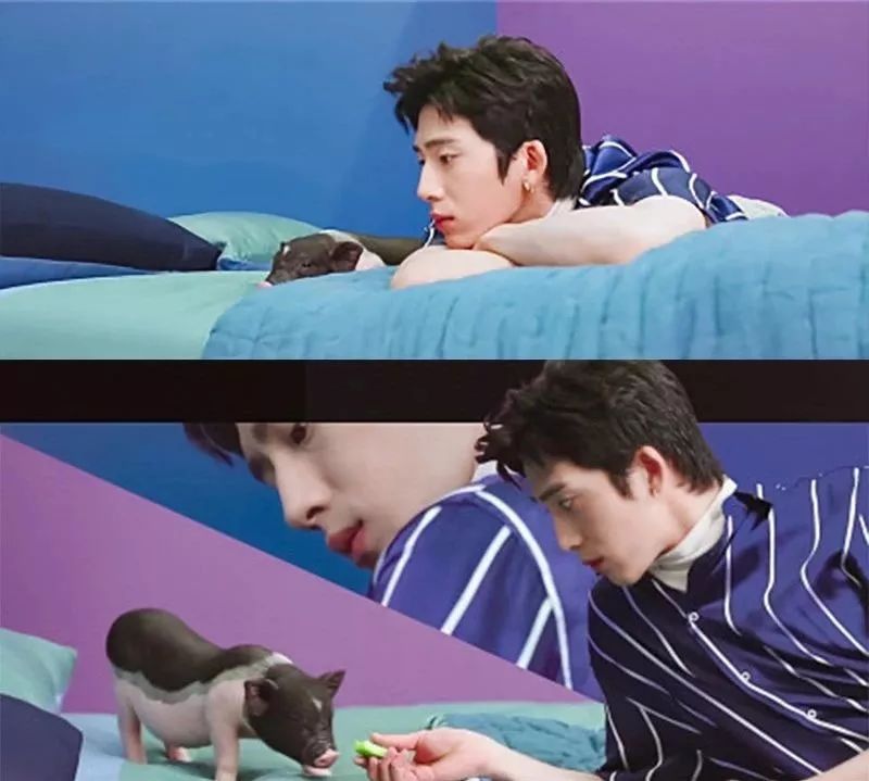 猪都拍时尚大片了，你还在穿妈妈给你买的红秋裤？