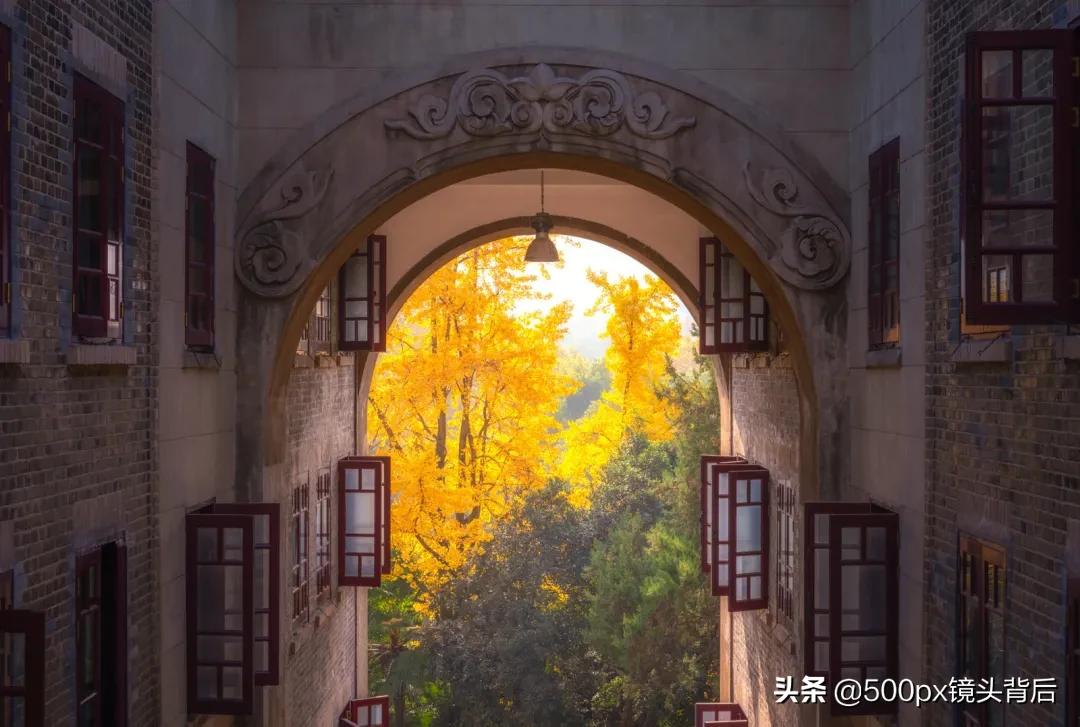 老斋舍、星湖、万林……武大，有名的不仅仅是公主楼