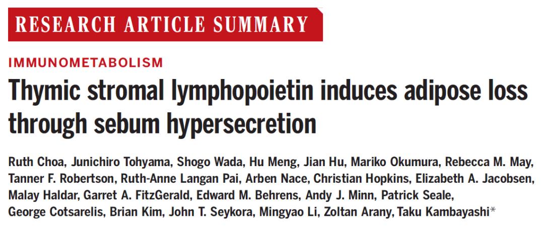 缁嗚優鍥犲瓙鍑忚偉,缁嗚優鍥犲瓙鑳藉噺鑲ュ悧