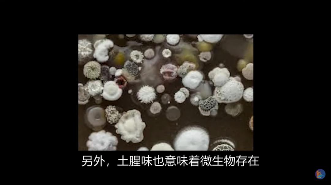 吃鱼有腥味如何去除,吃鱼有腥味怎么去