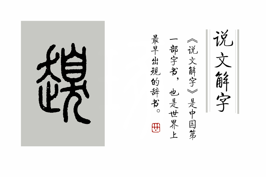 《说文解字》第205课：《说文解字》的说解体例