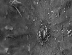 慢动作拍摄教程光遇,慢动作拍摄教程完整版