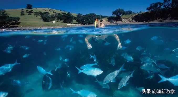 新西兰北岛自驾游攻略,新西兰北岛攻略3日行程规划