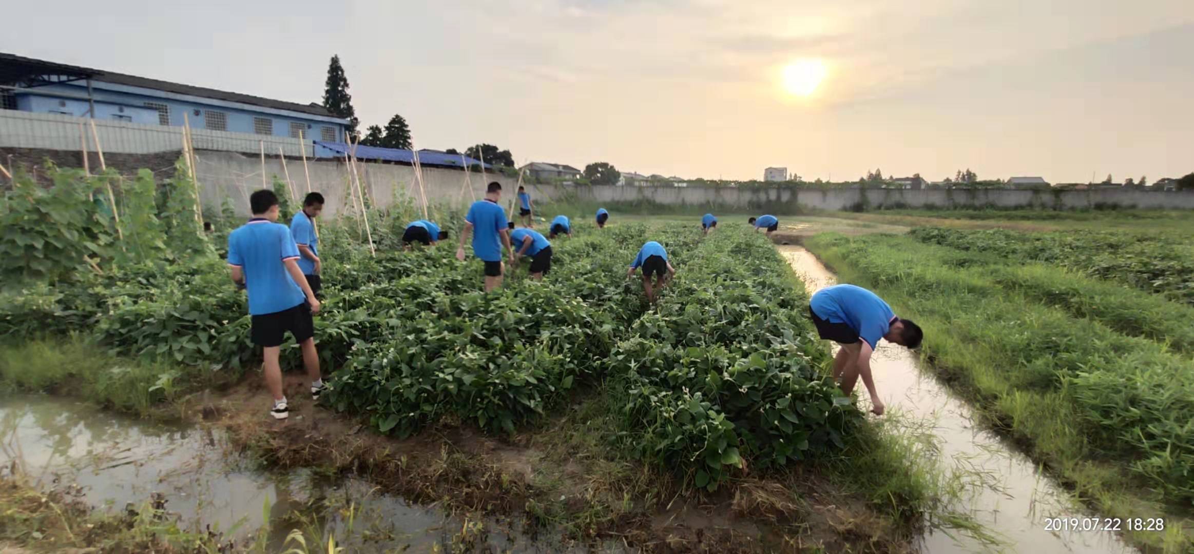 叛逆孩子教育学校推荐,正规叛逆教育学校
