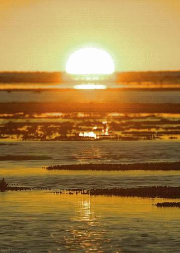 简媜的问候天空读后感,读简媜问候天空有感