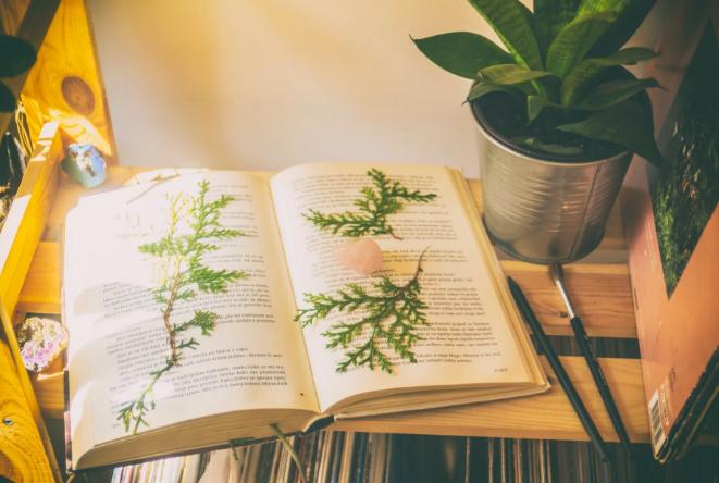 小偷阅读法详解,小偷自学刑法讲义