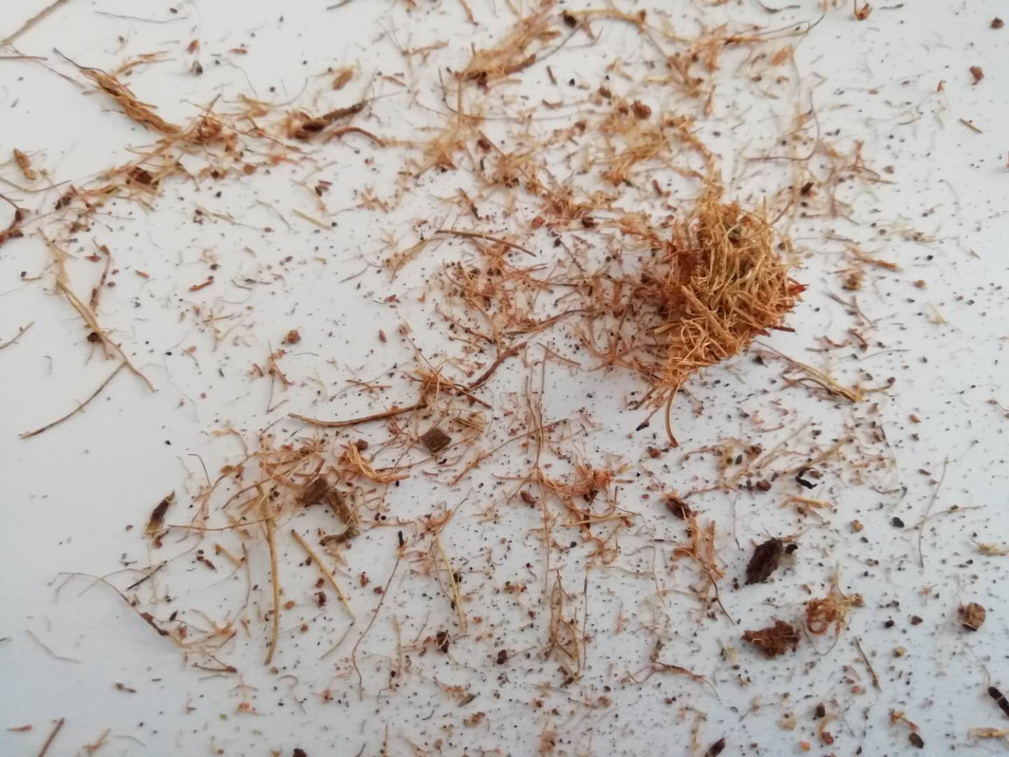 床垫棕垫好还是棕棉垫好,什么品牌的棕床垫质量最好