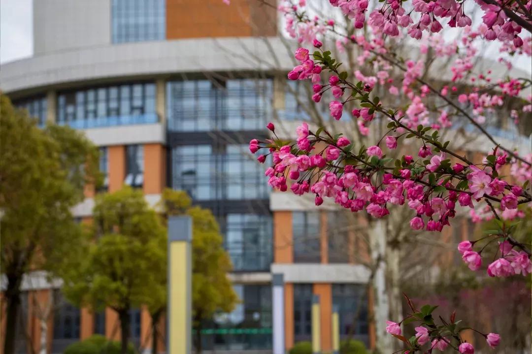 南京师范大学泰州学院1847,江苏6所省属师范大学