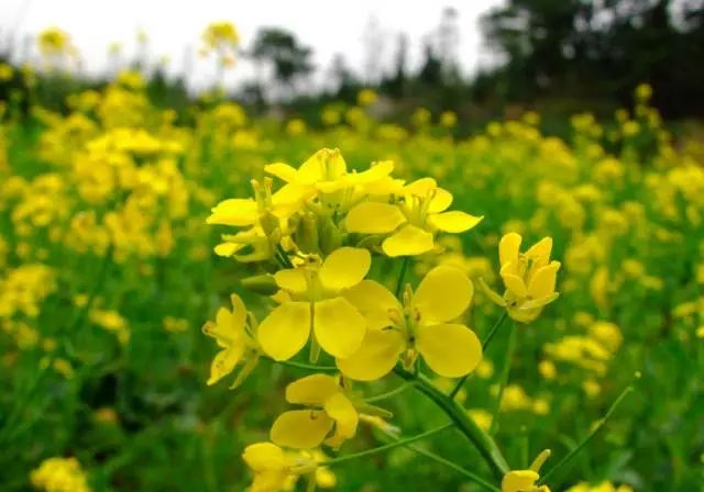 绳命是如此的精彩！网红僧人延参法师为宜兴春游踏青打call！