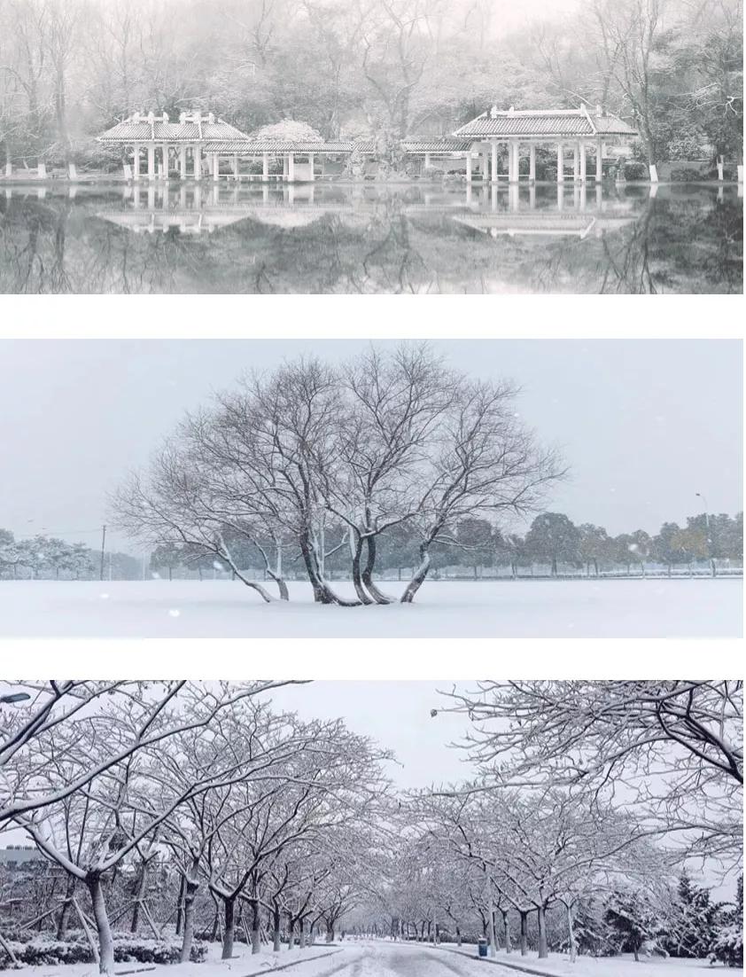 安徽省高校合肥理工,安徽省二类本科公办大学