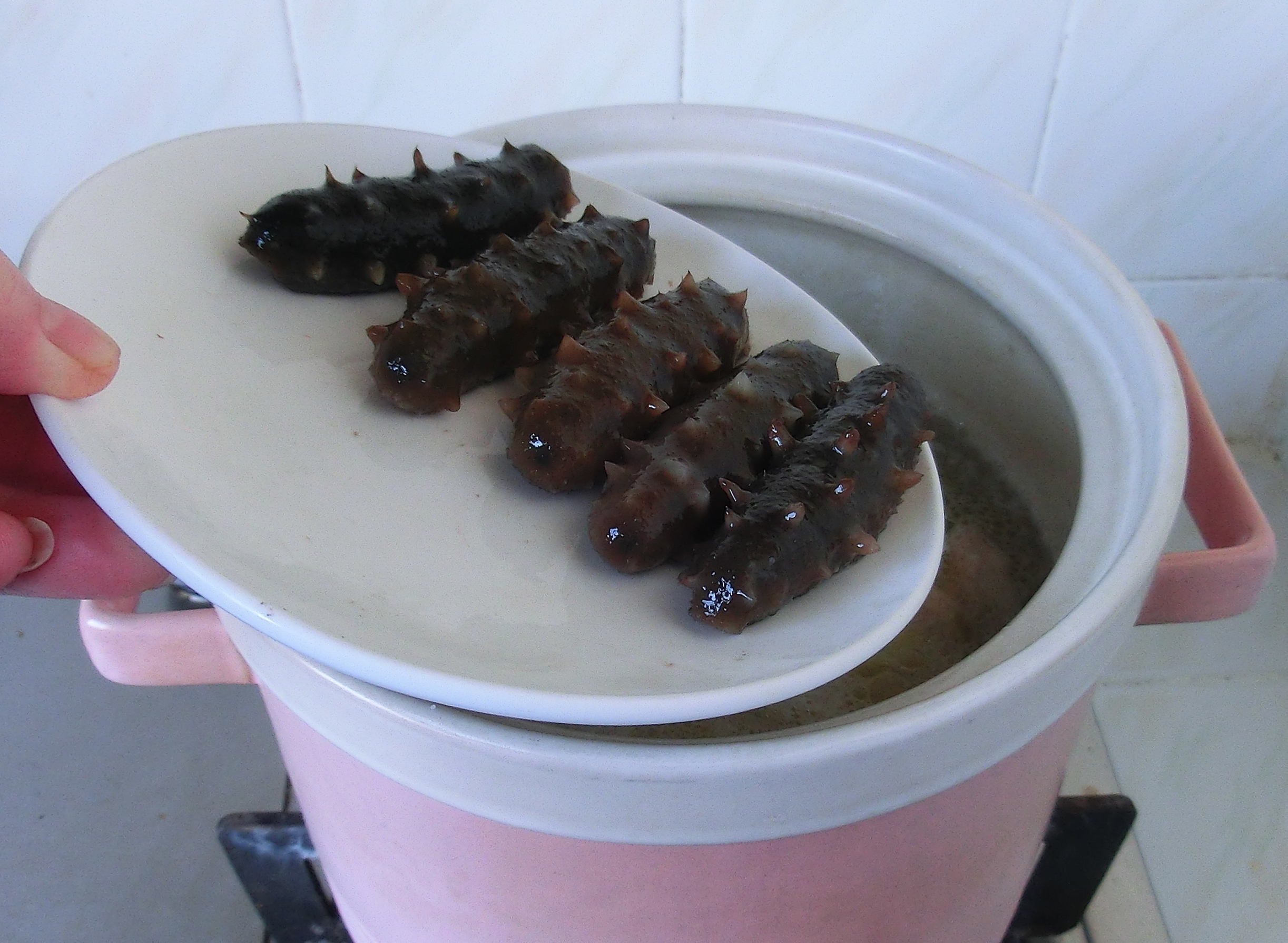 海参的正确泡发方法和做法,海参怎么才能不难吃