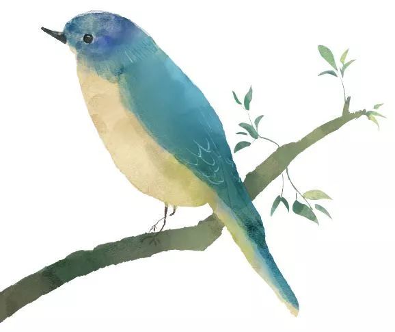 彩丰楼2020月饼,春节彩丰楼品鉴