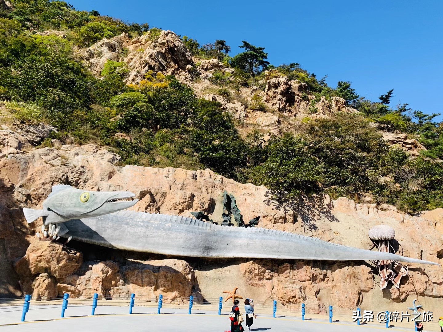 海滨城市大连旅游必备攻略,美丽的海滨城市大连星海广场