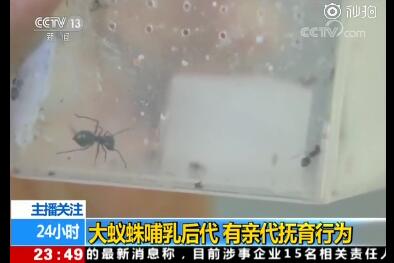 晨看*疆新**｜乌市这场雪达到暴雪级别，*疆新**铁路27趟列车停轮或停运