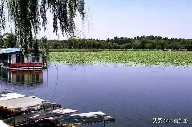 山东夏天值得去的旅游景点,夏天适合去的湖泊