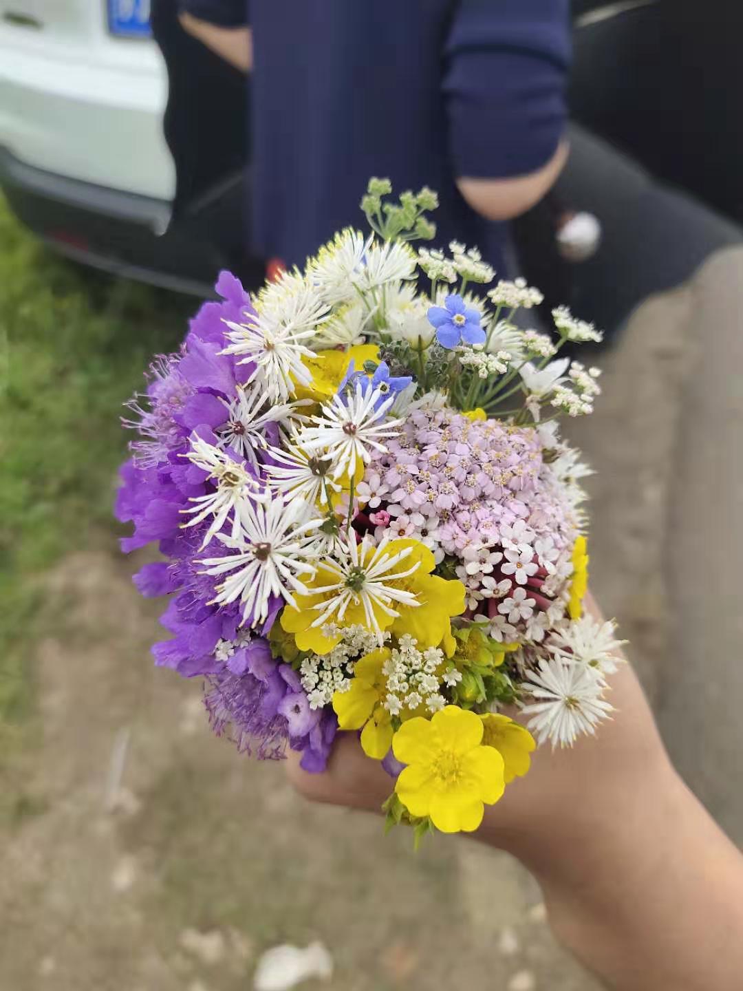 内蒙黄花沟草原游记,黄花沟草原介绍