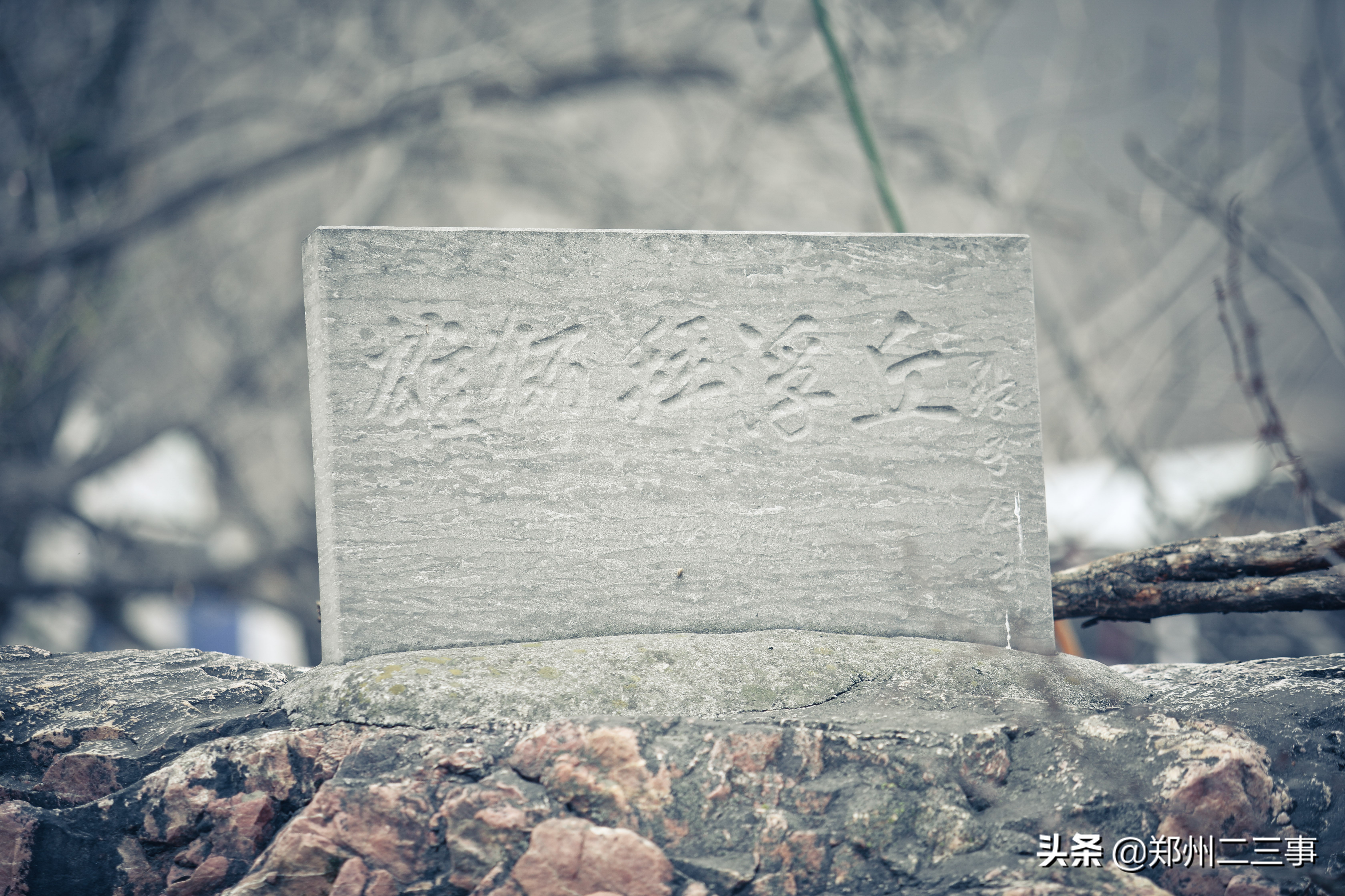 郑州惠济区免费遛娃好去处植物园,郑州遛娃踏青好去处