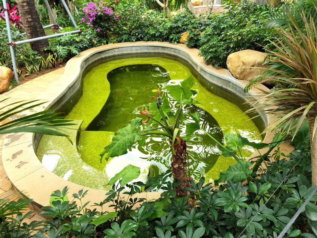 海南度蜜月温泉,海南去哪里泡温泉最合适