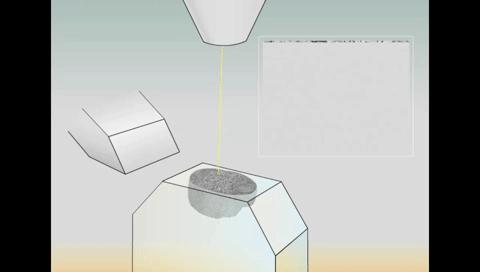 science蛋白质封面,重塑大脑的神经网络的方法