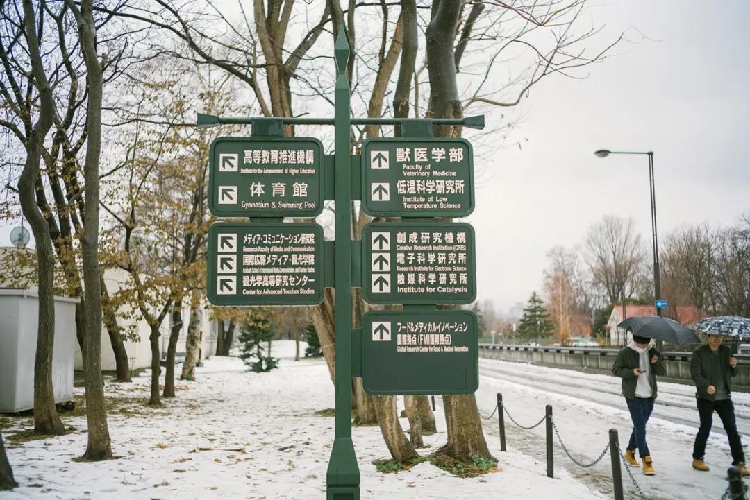 遇见世界|离开北海道的第224天