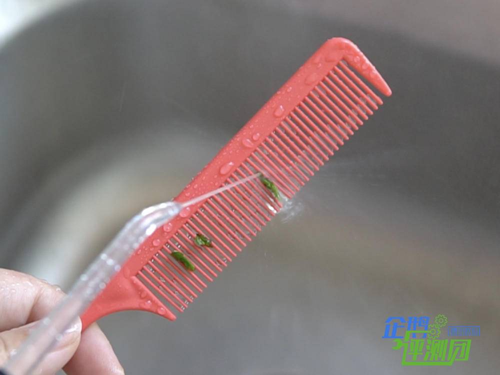 来自美国牙医的选择：洁碧WP-462EC冲牙器使用体验