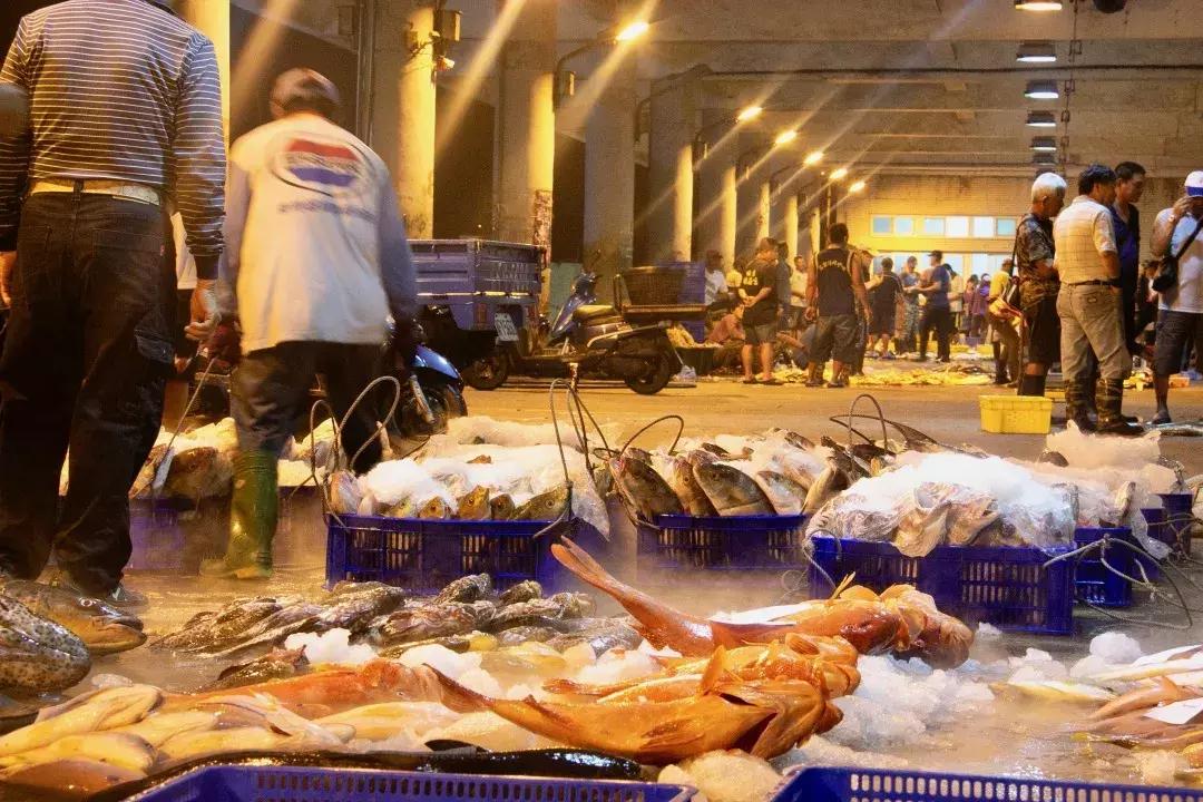 石沪捕鱼在福建哪里,石沪捕鱼游玩