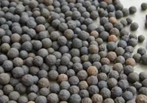 好好学习天天向上|你知道几种水处理滤料?