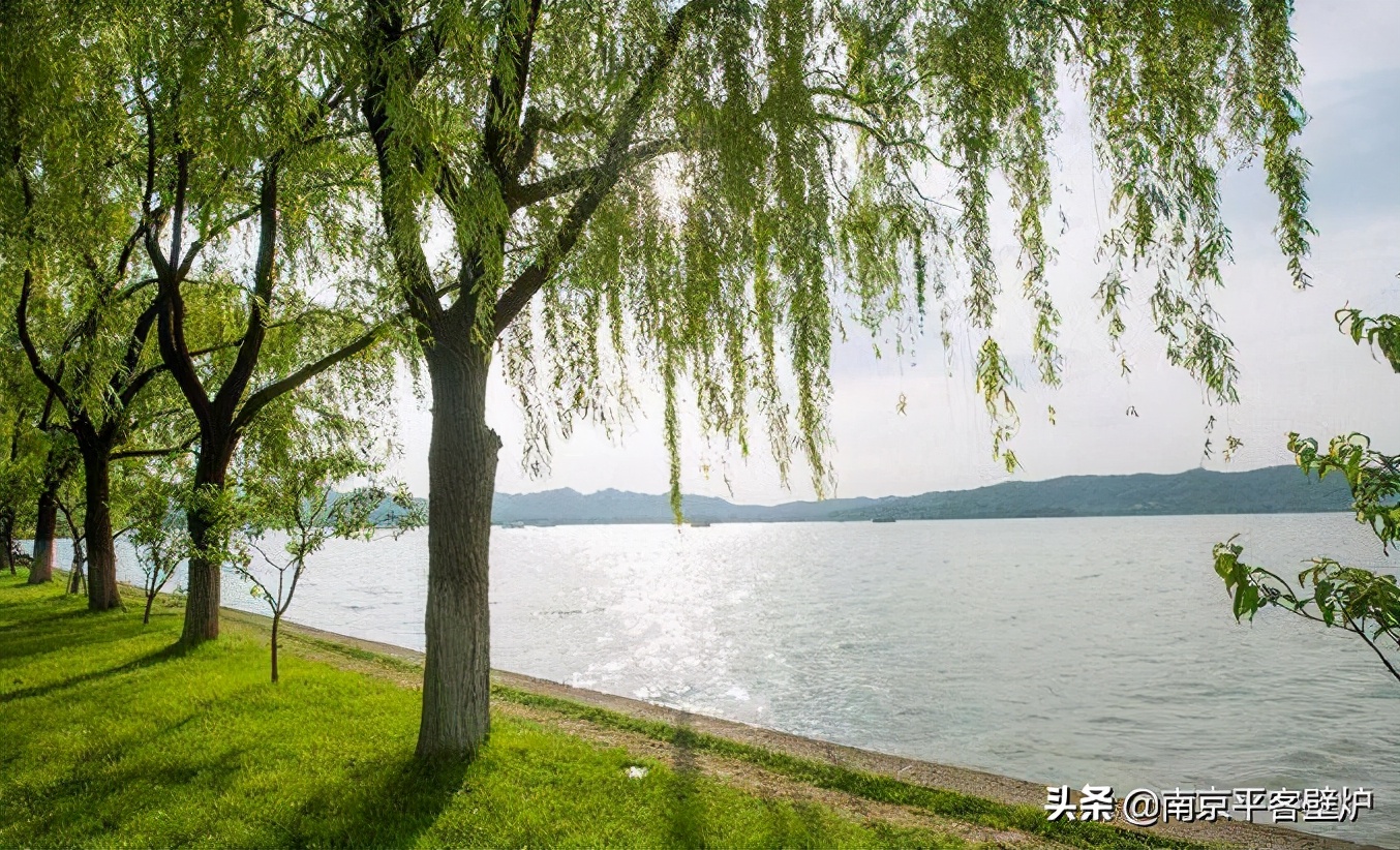 真火壁炉适合什么木材,真火壁炉燃料